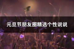 元旦节朋友圈精选个性说说(34句)
